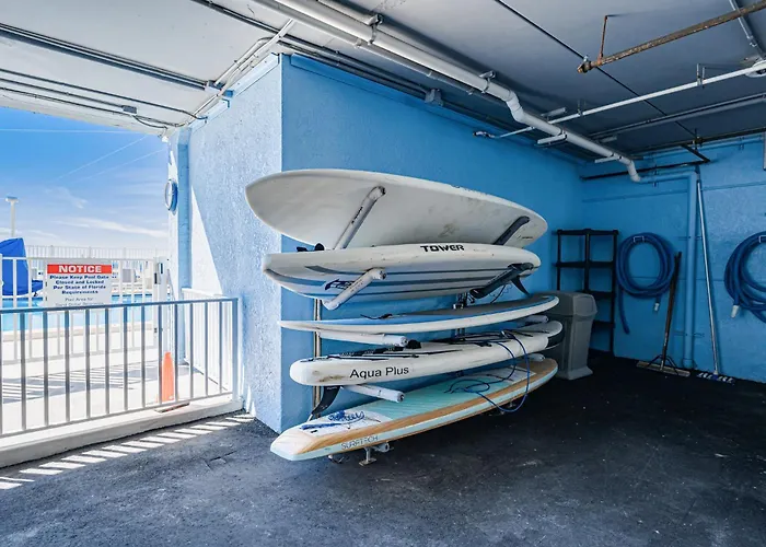 Dollar 502 Apartment *